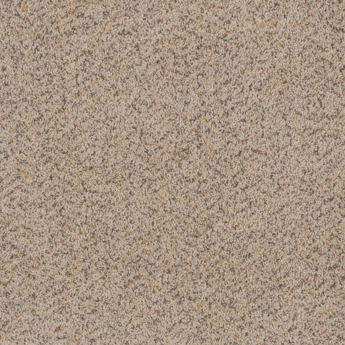 Toast of the Town Winter Blanket