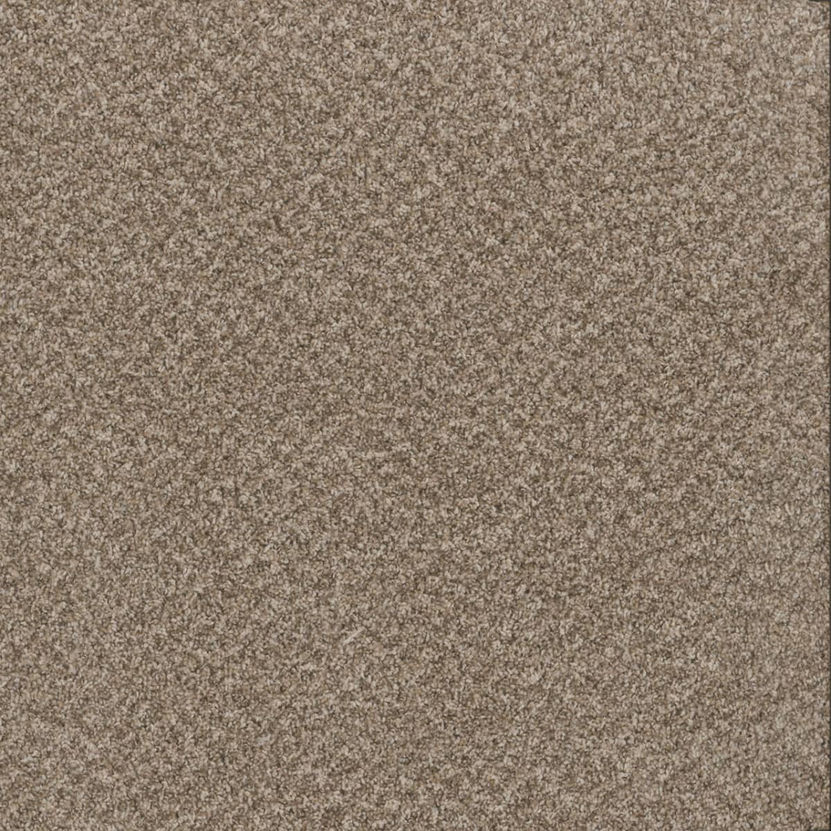 Toast of the Town Natural Cotton