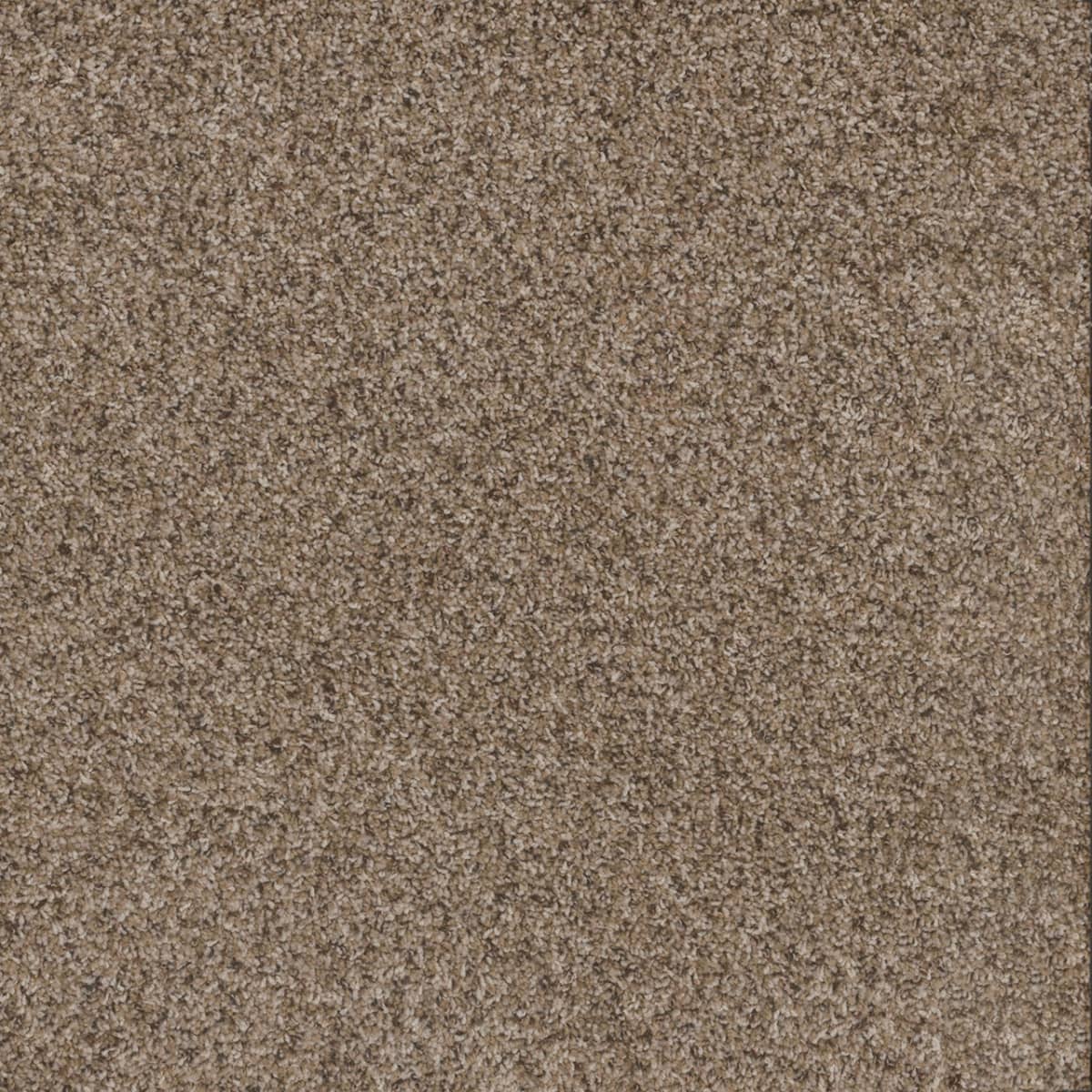 Toast of the Town Briarwood Toast of the Town flooring