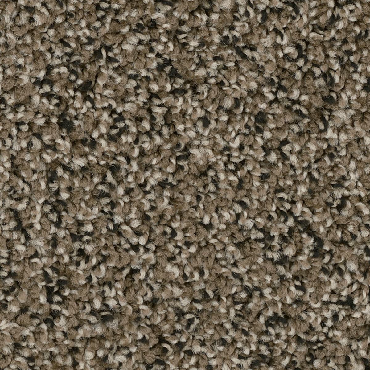 West Brow Magnetite