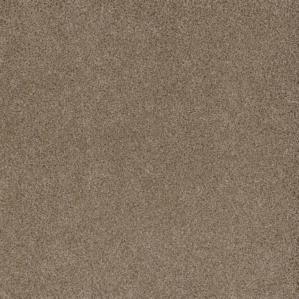 Stunning Straw