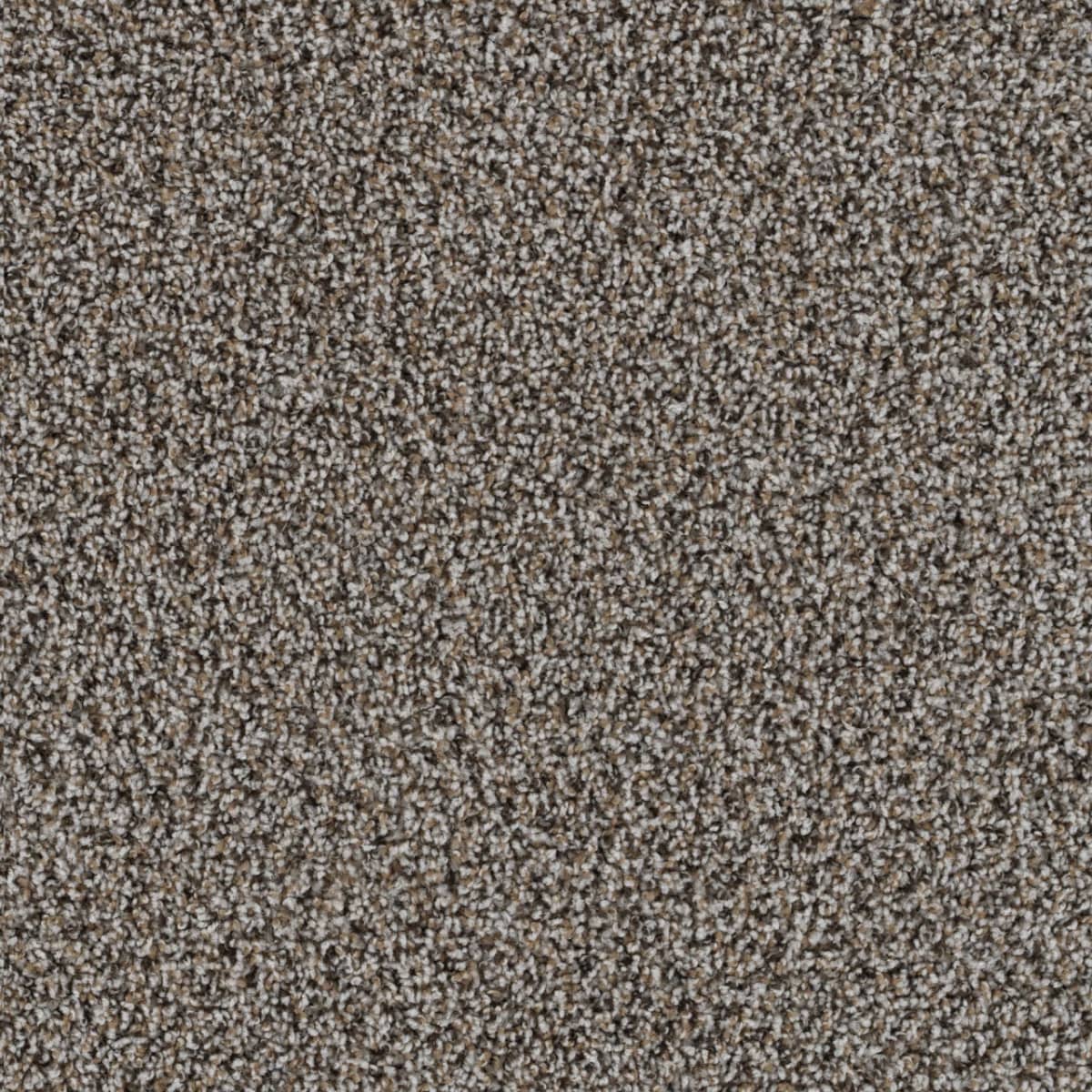 Sweepstakes Gingerbread Sweepstakes flooring