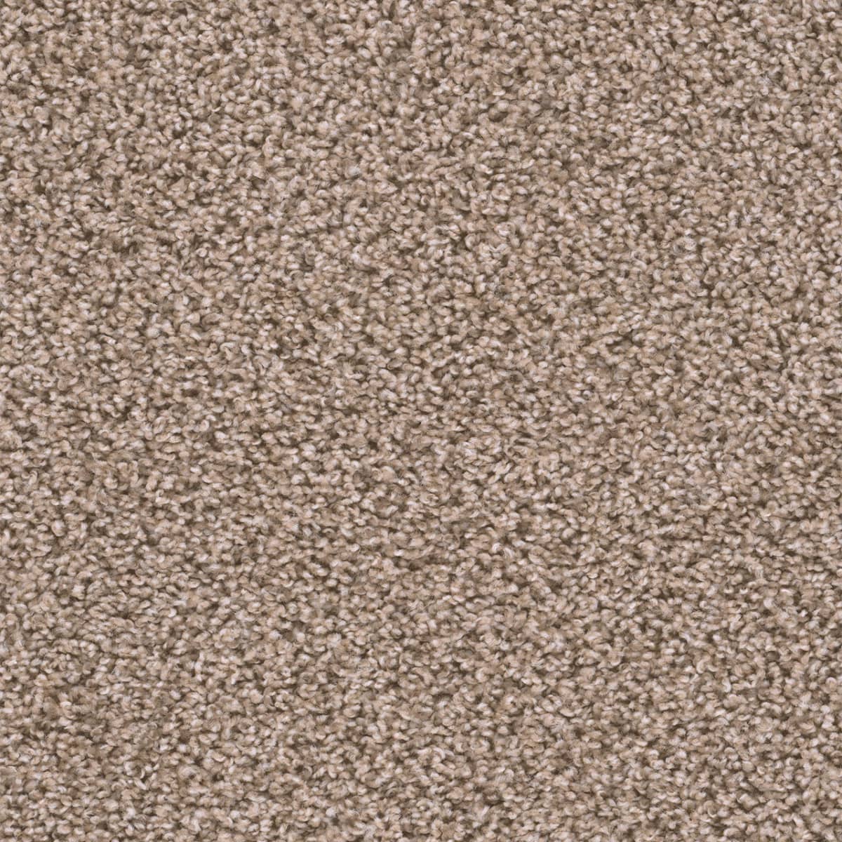 Sweepstakes Claystone