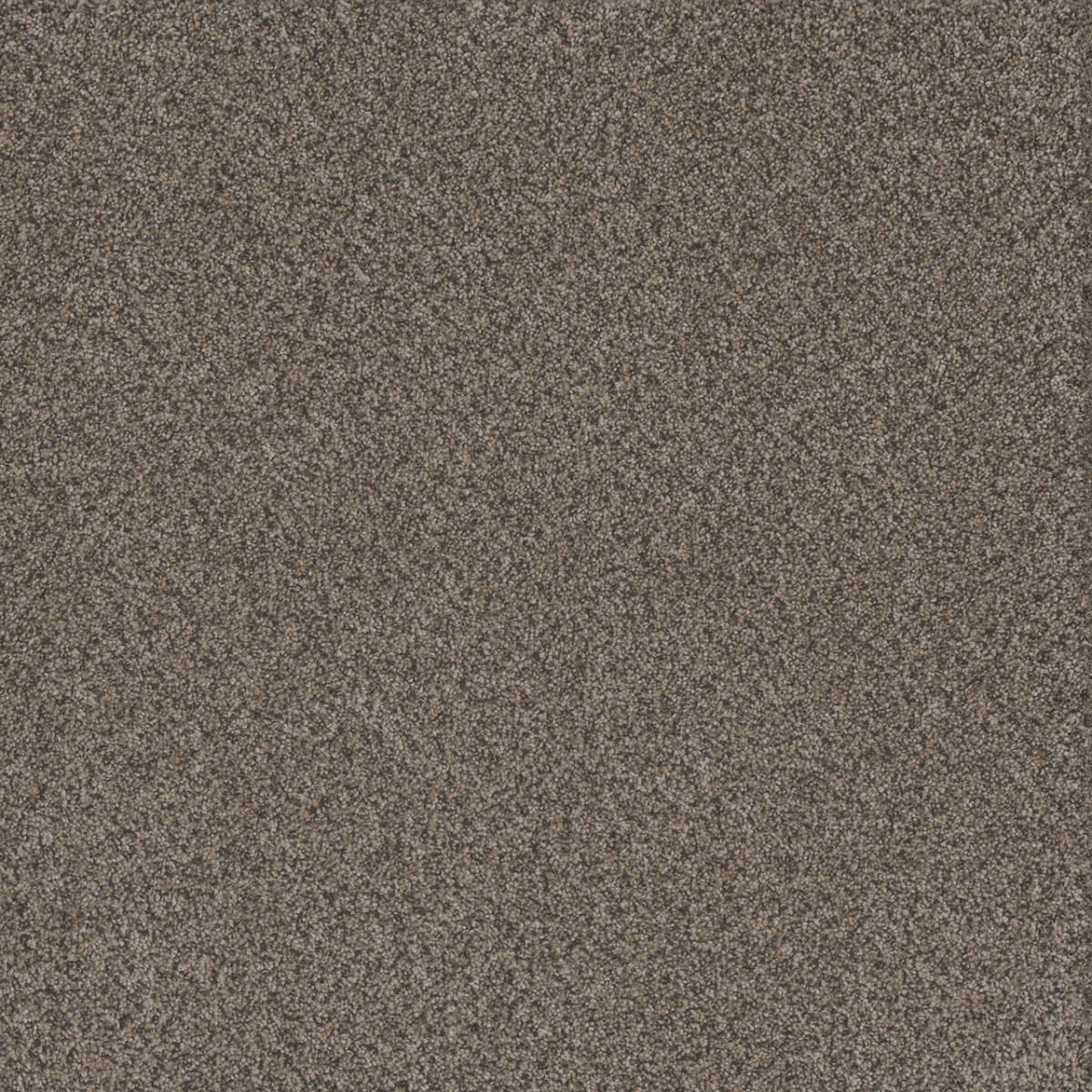 Titan I Honeycomb