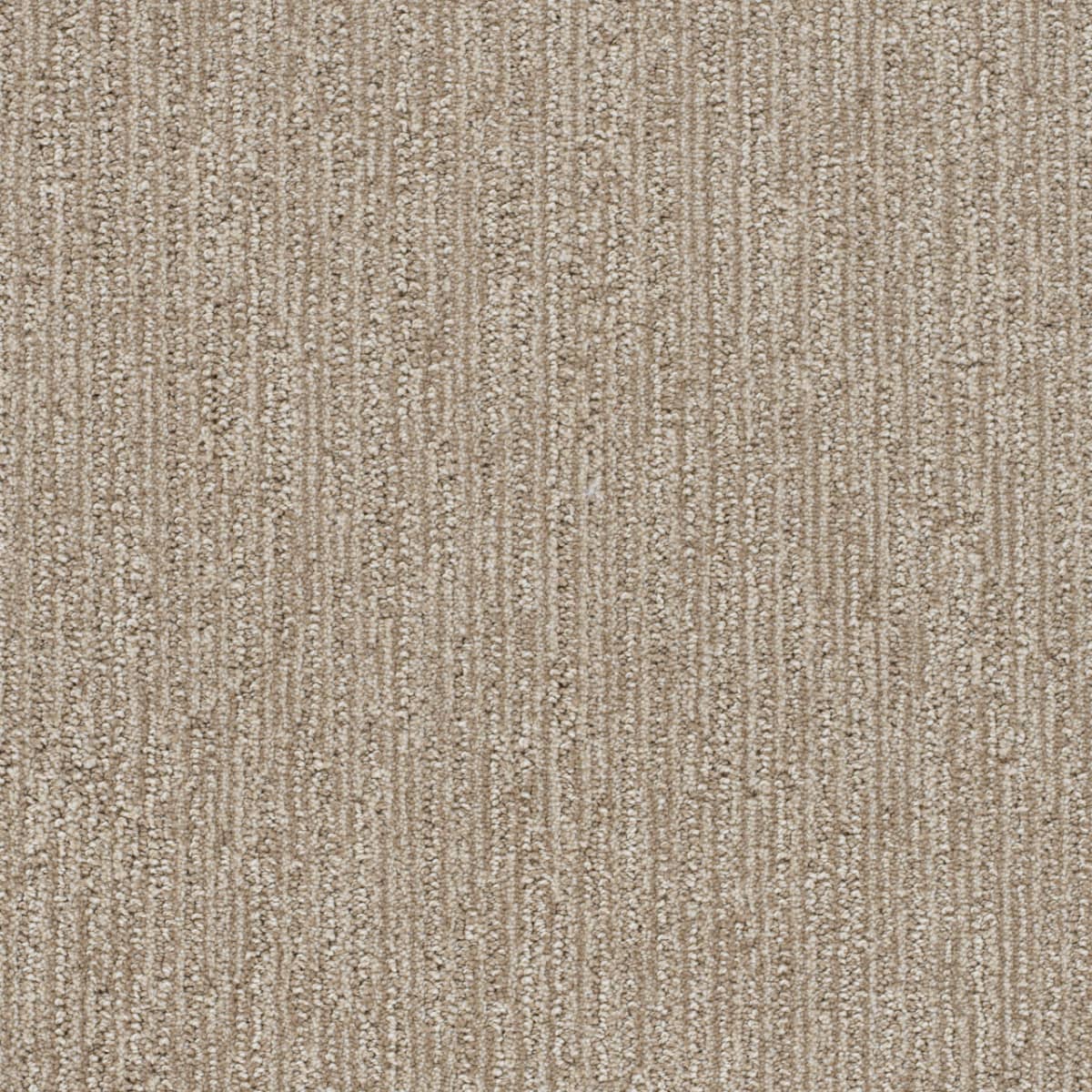 Venetian Dune Crest