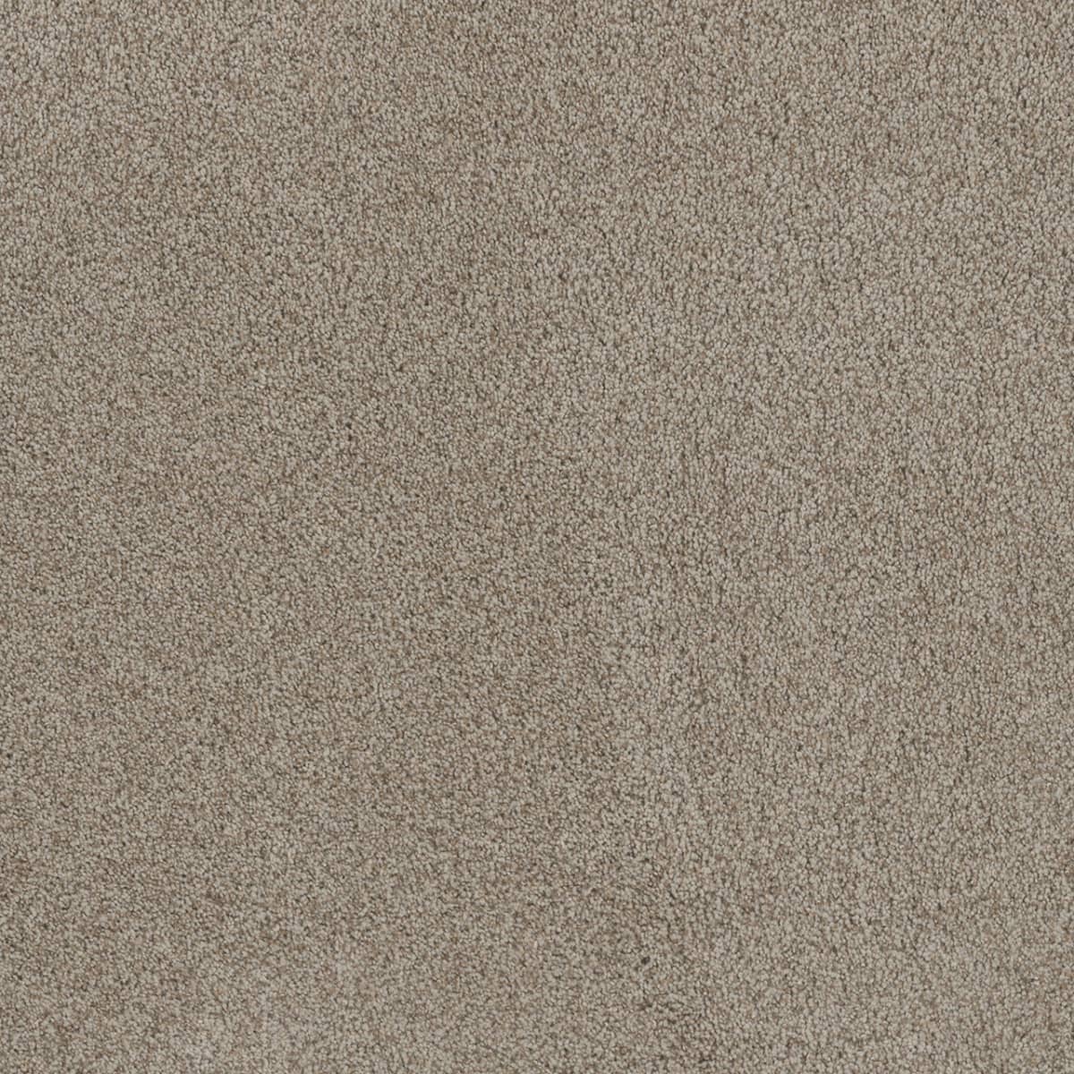 Stunning Stucco