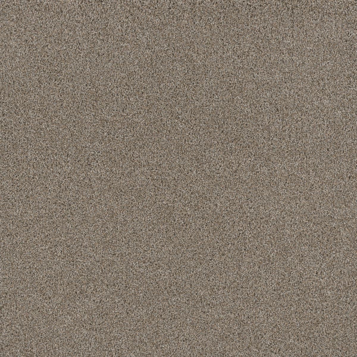 Stunning Iron Frost
