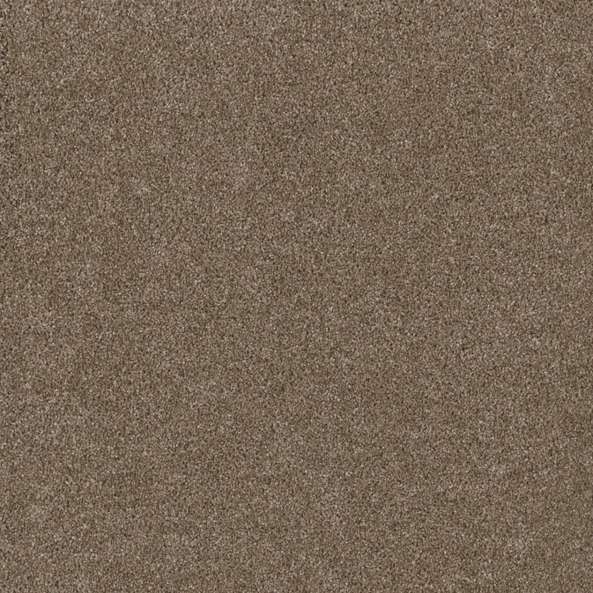 Stunning Acorn Stunning flooring