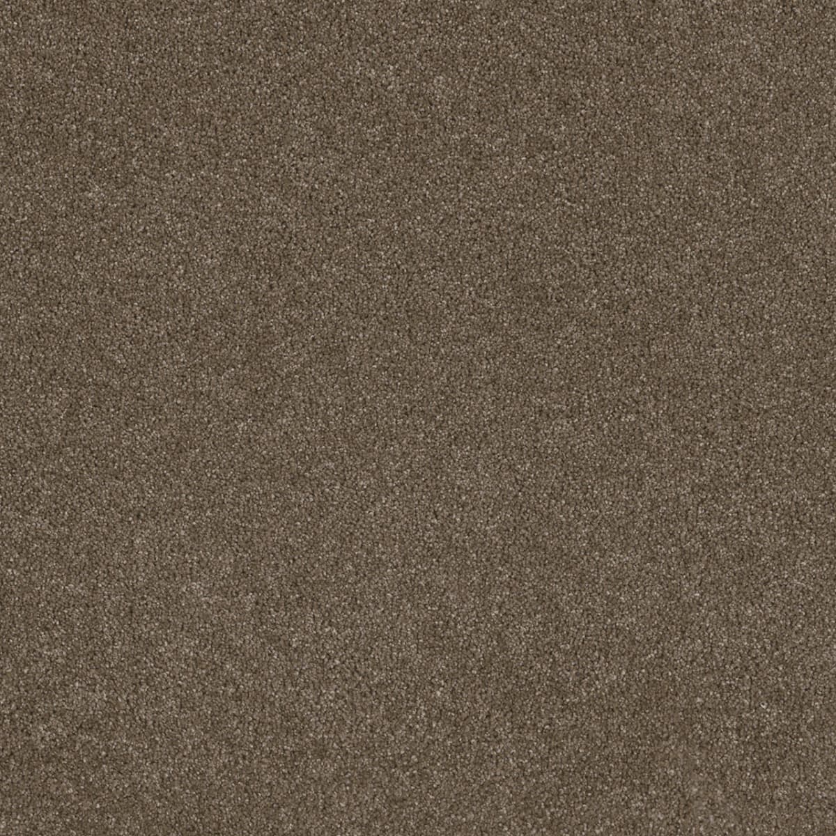 Stunning Peppercorn