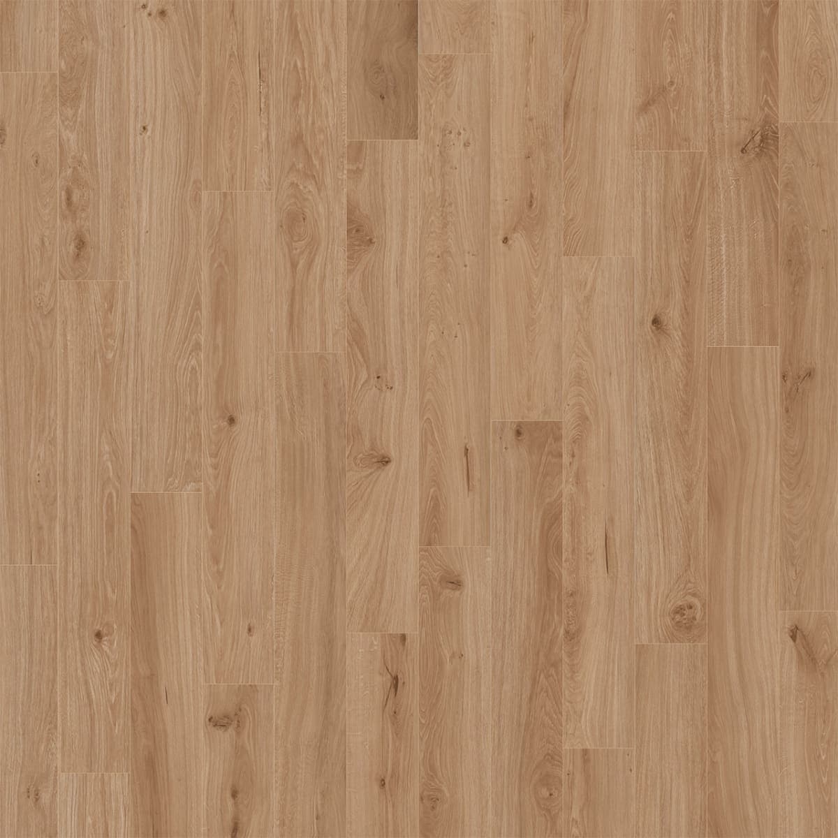 Divine Tupelo Divine Luxury Vinyl flooring