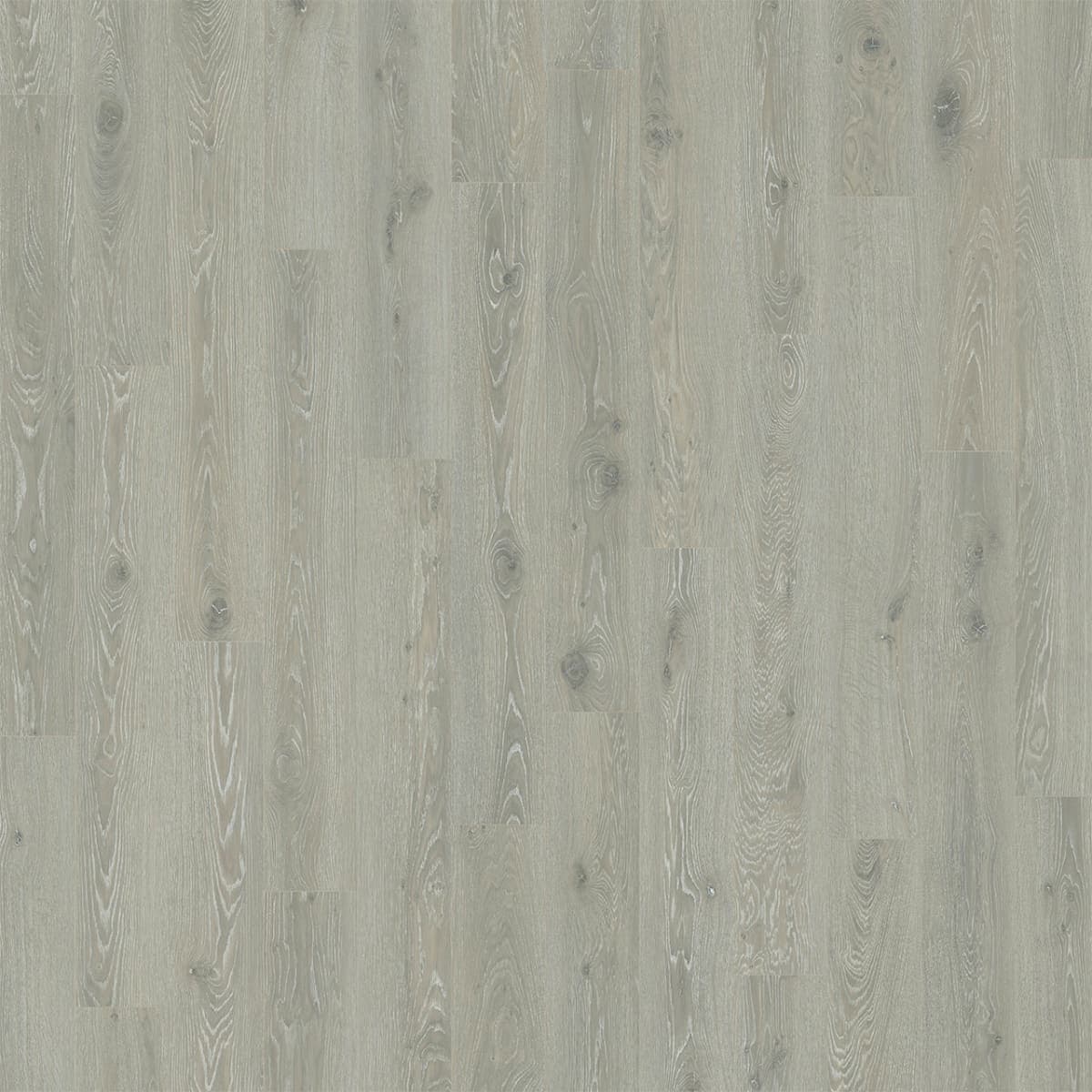 Cultivate Glacier Peak Cultivate Luxury Vinyl flooring
