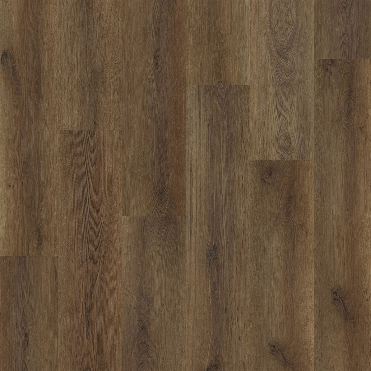 Elevate Grand Oak