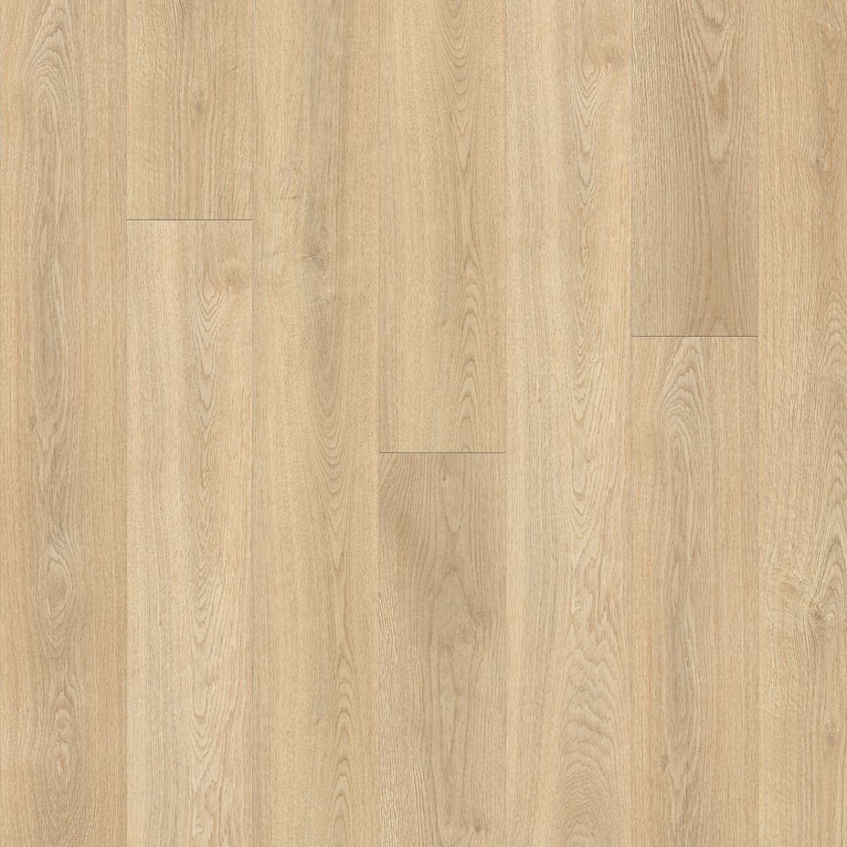 Timeless Beauty Thorndale