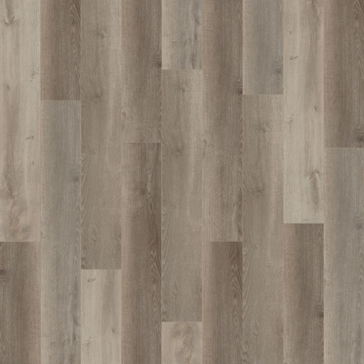 New Standard Plus Santa Maria