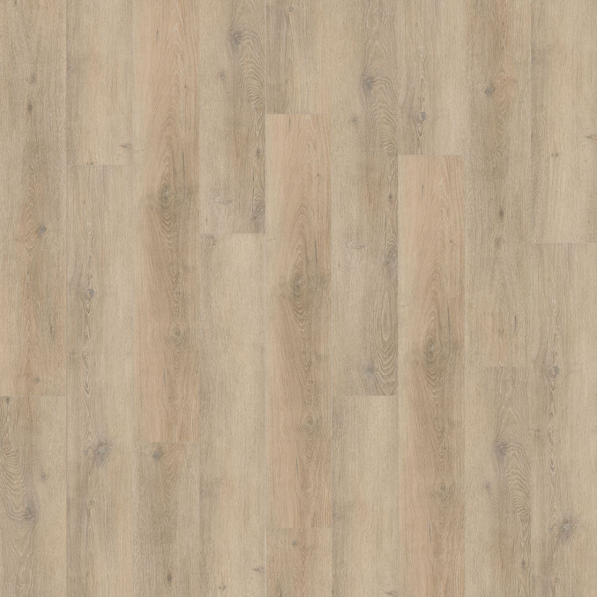 New Standard Plus Clearwater