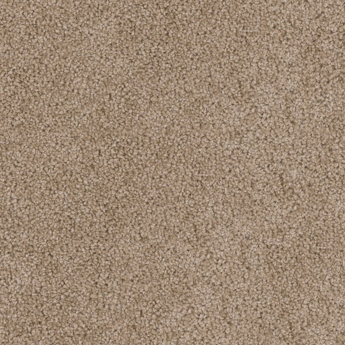 Cedar Creek Honey Beige Cedar Creek Carpet flooring