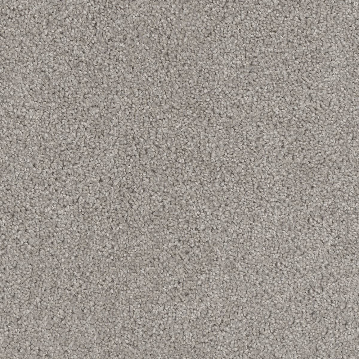 Cedar Creek Silver Birch Cedar Creek Carpet flooring