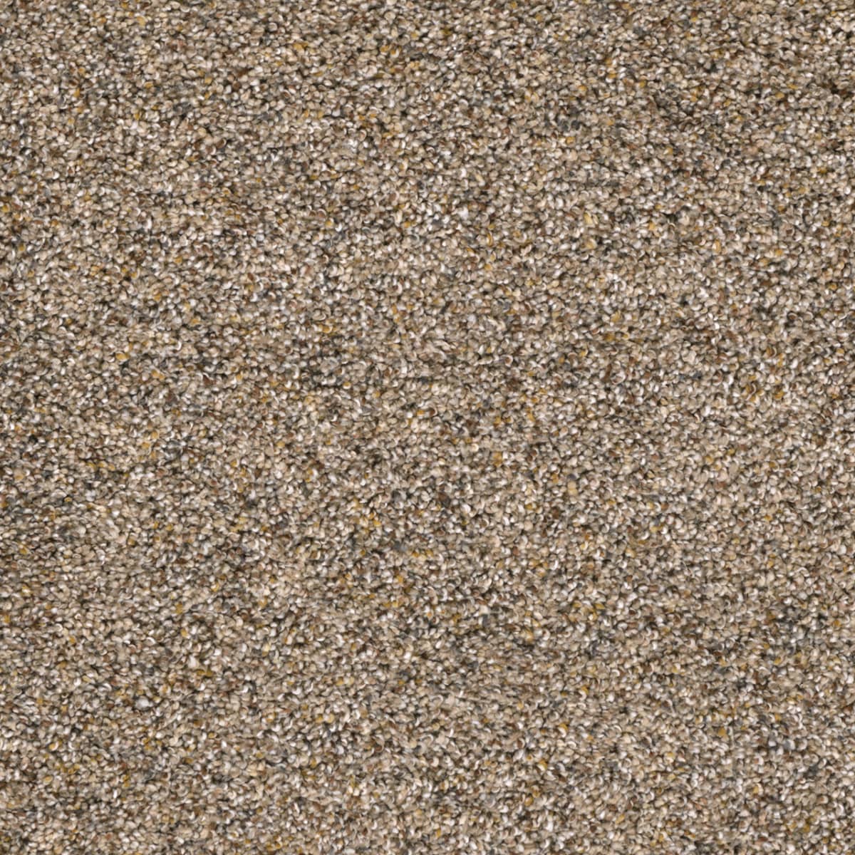 Confetti III Carpet flooring collection