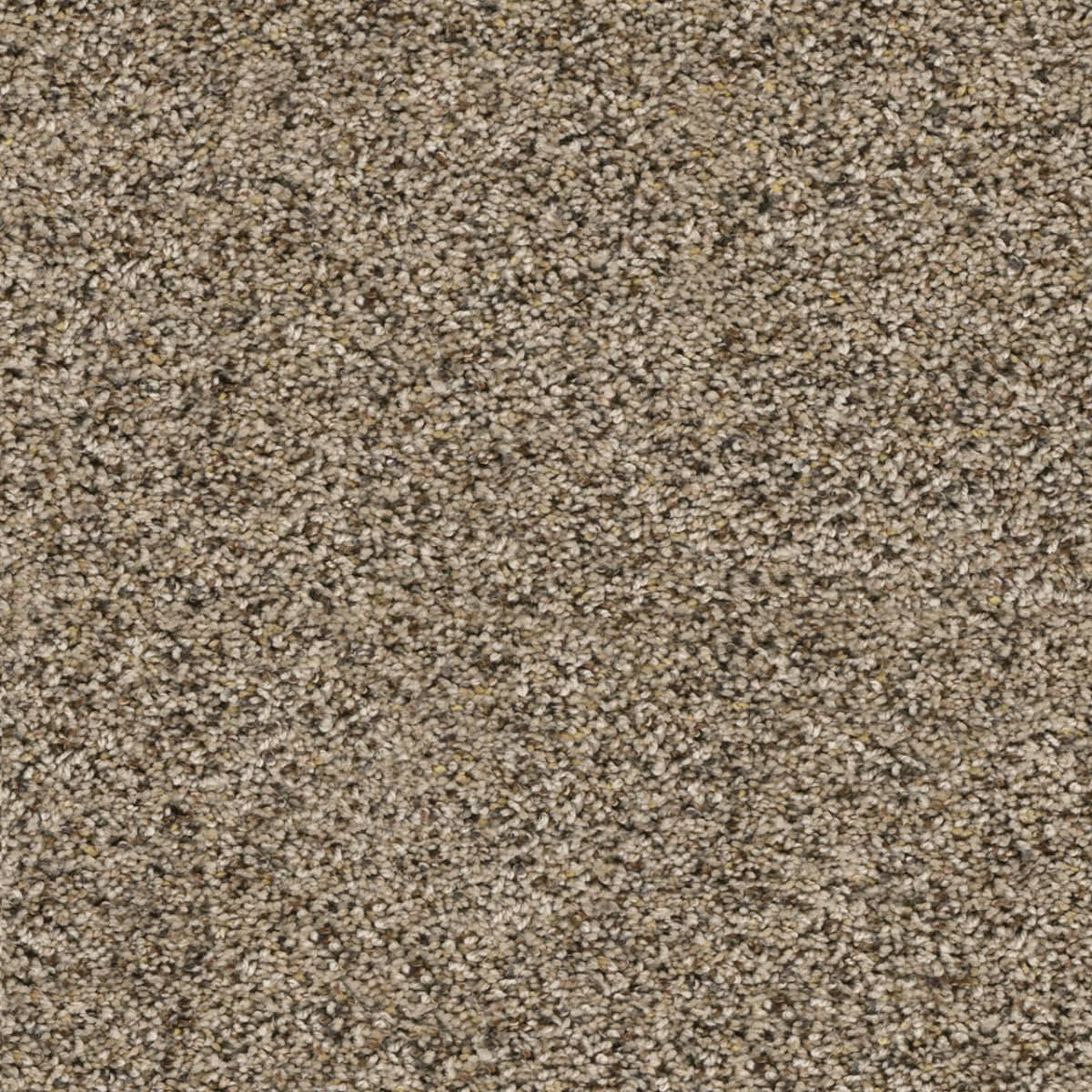 Confetti III Cadence Confetti III Carpet flooring