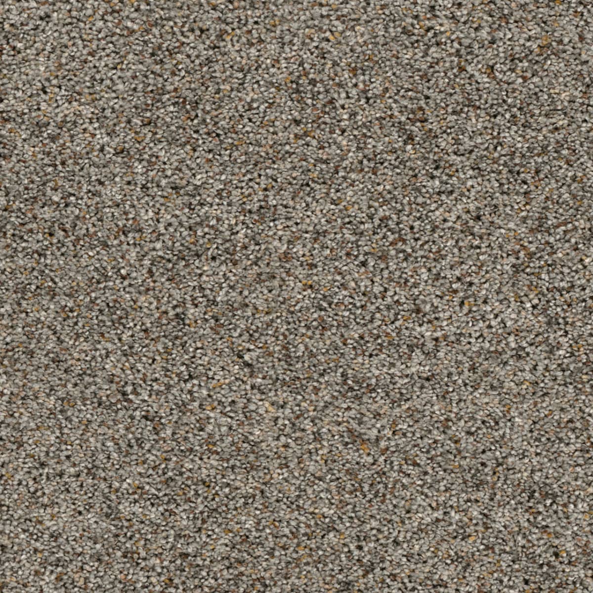 Confetti III Mountain View Confetti III Carpet flooring