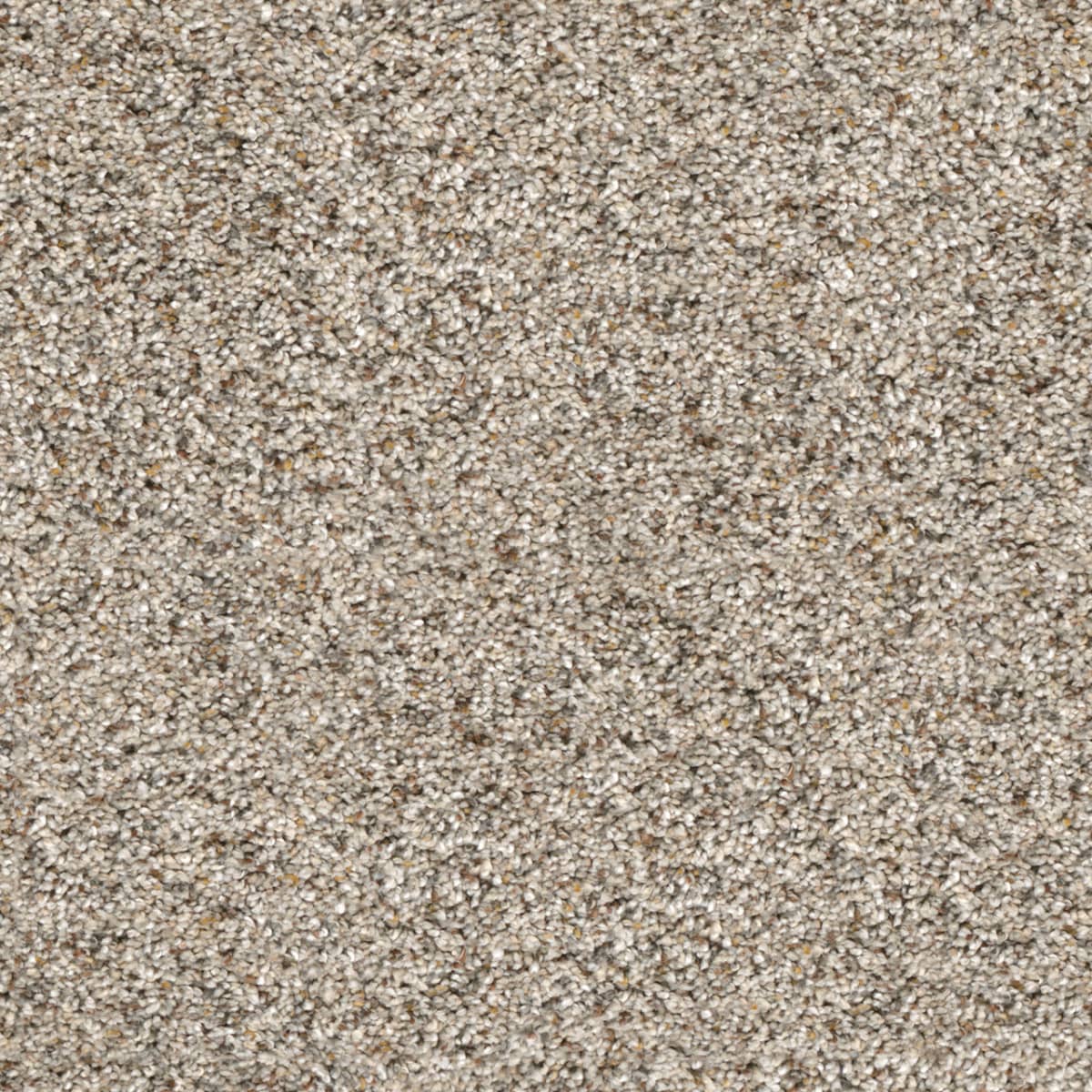 Confetti III Silver Mist Confetti III Carpet flooring