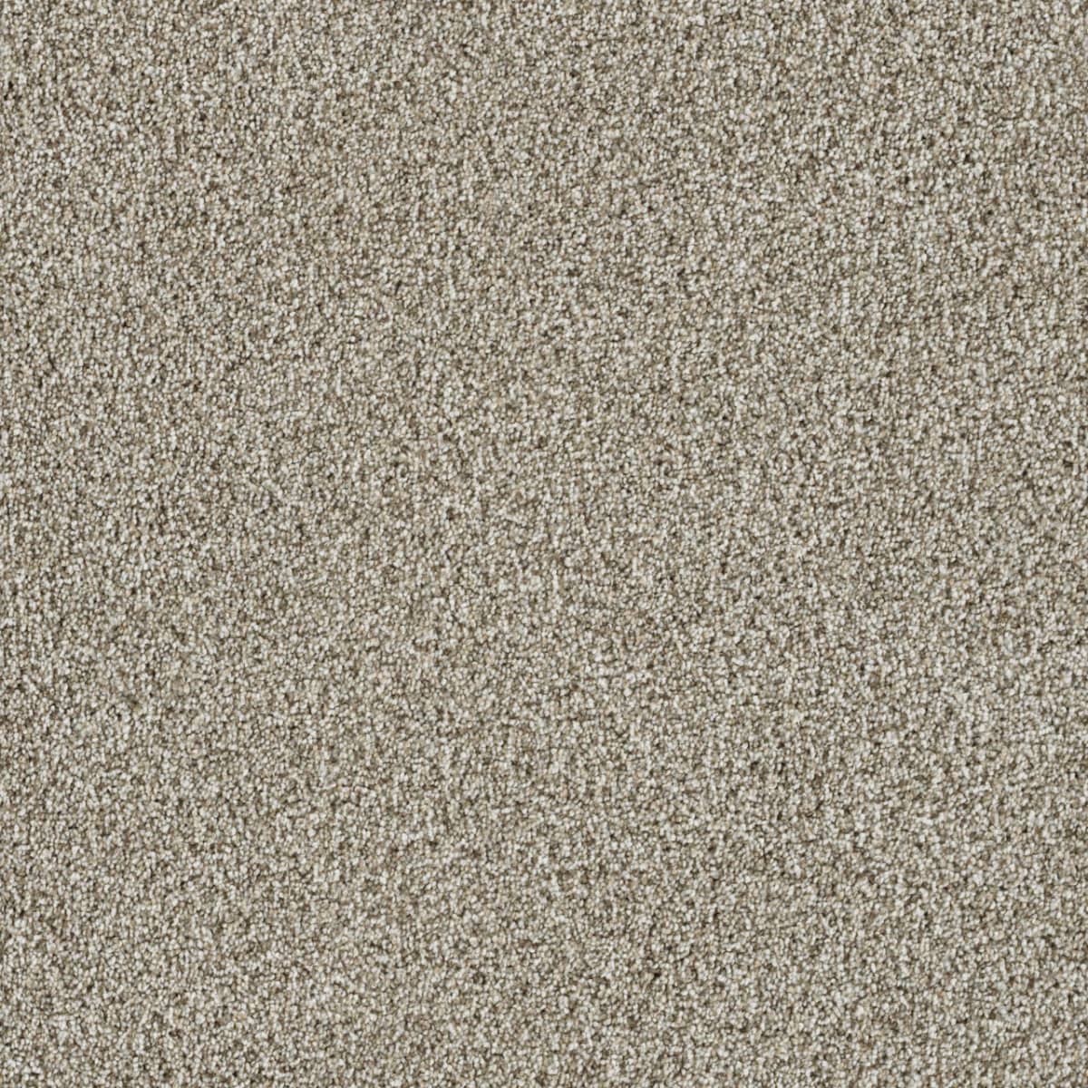 Trendsetter I Seashells Trendsetter I flooring