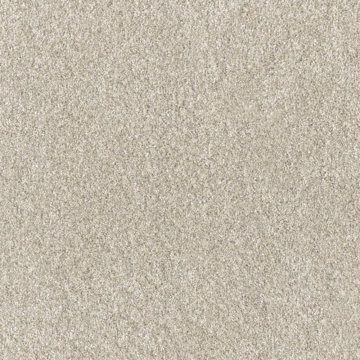 Affinity I Carpet flooring collection