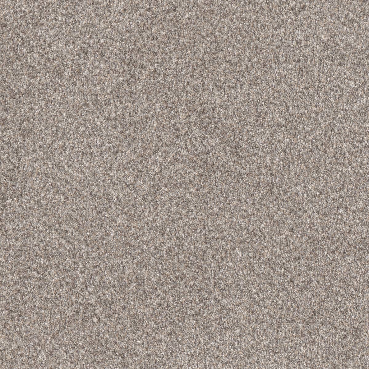 Affinity III Mesa Affinity III Carpet flooring