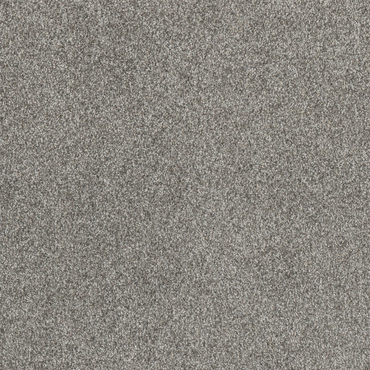 Affinity III Moxie Affinity III Carpet flooring