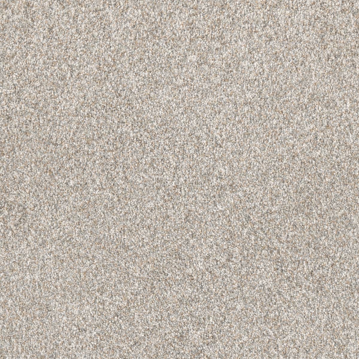 Affinity III Sparrow Affinity III Carpet flooring