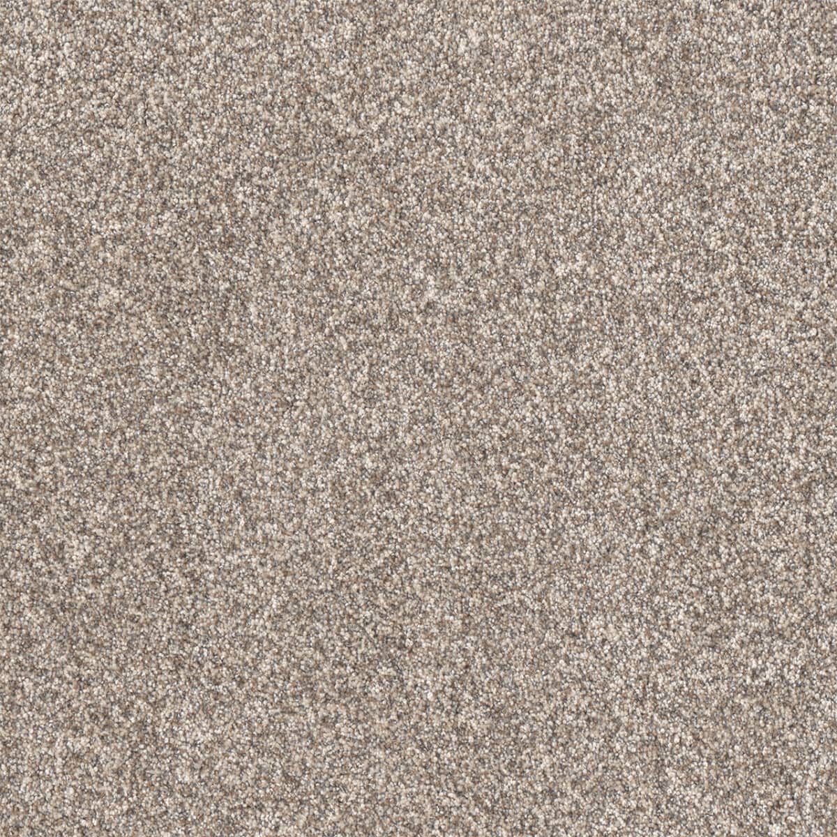 Affinity III Celestial Affinity III Carpet flooring