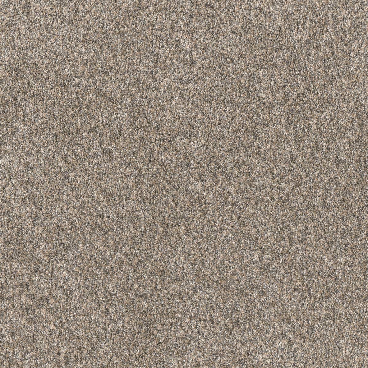 Affinity III Spice Affinity III Carpet flooring