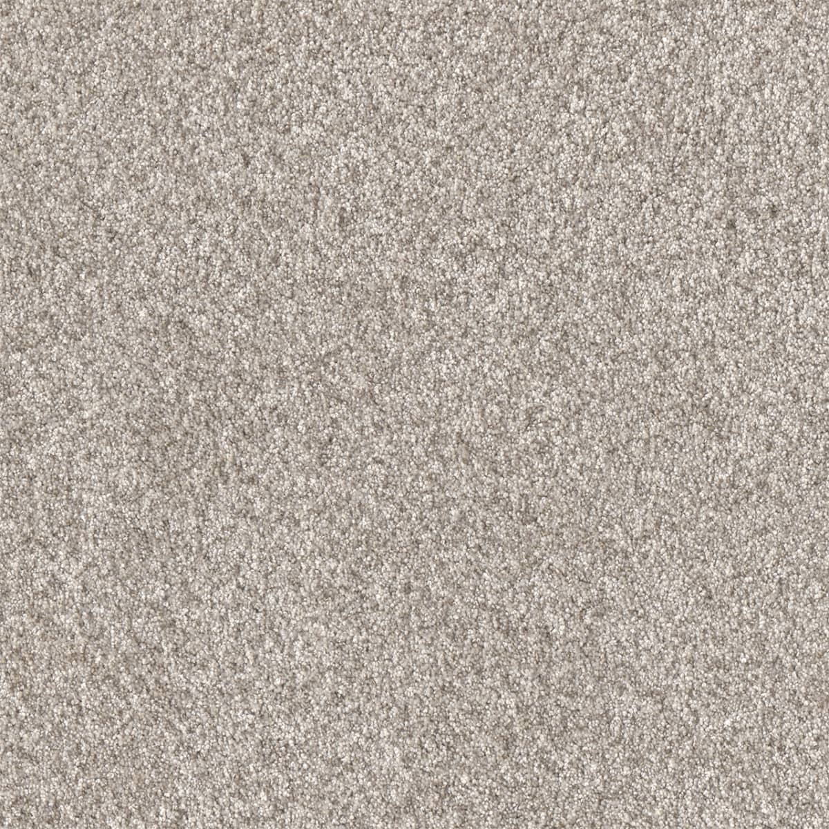 Affinity III Elkhound Affinity III Carpet flooring