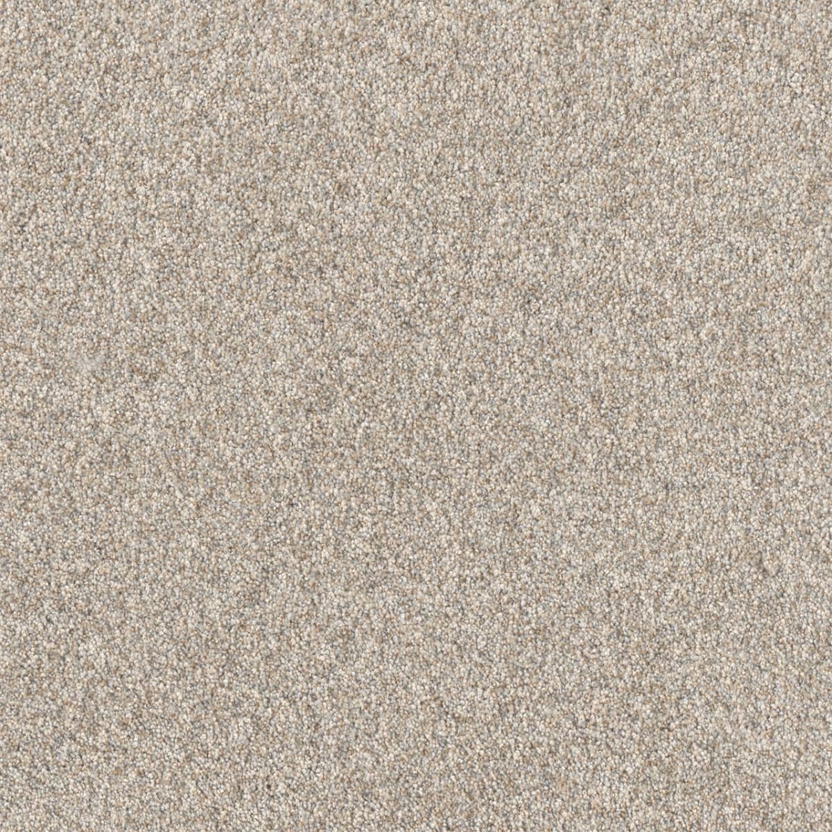 Affinity III Plateau Affinity III Carpet flooring