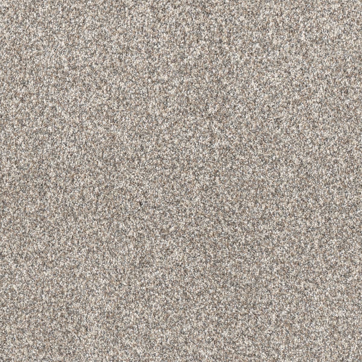 Affinity III Classy Affinity III Carpet flooring
