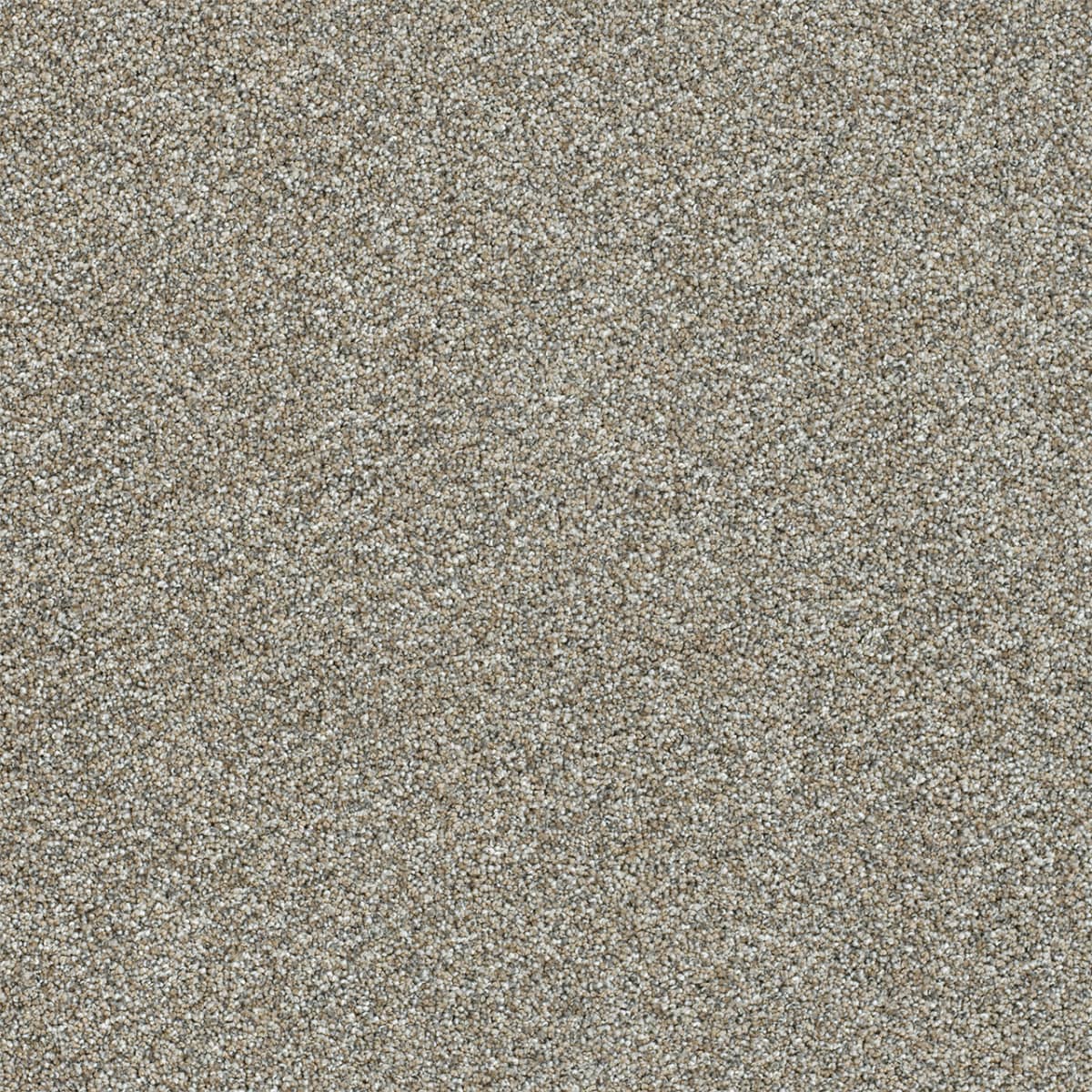 Affinity III Gravel Affinity III Carpet flooring