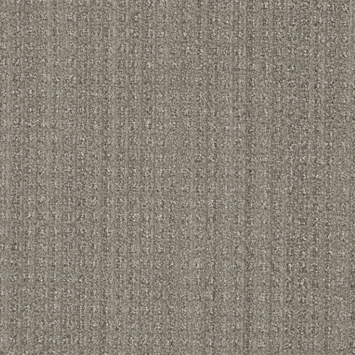 Dublin II Mexicali Dublin II Carpet flooring