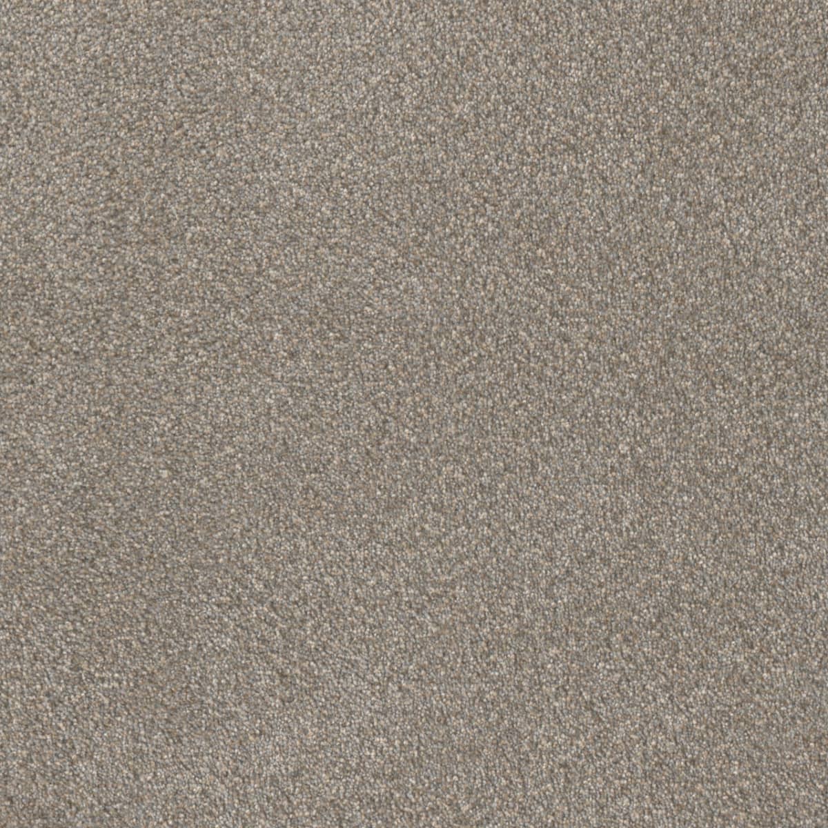 Star Struck Ancient Marble