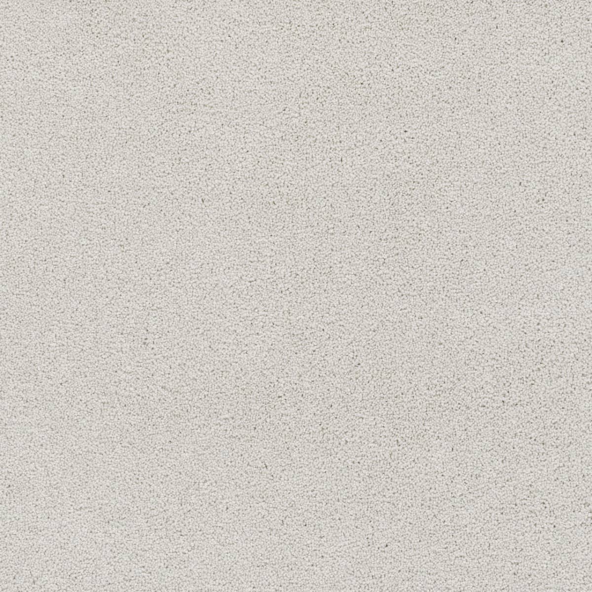 Star Struck Snowbird