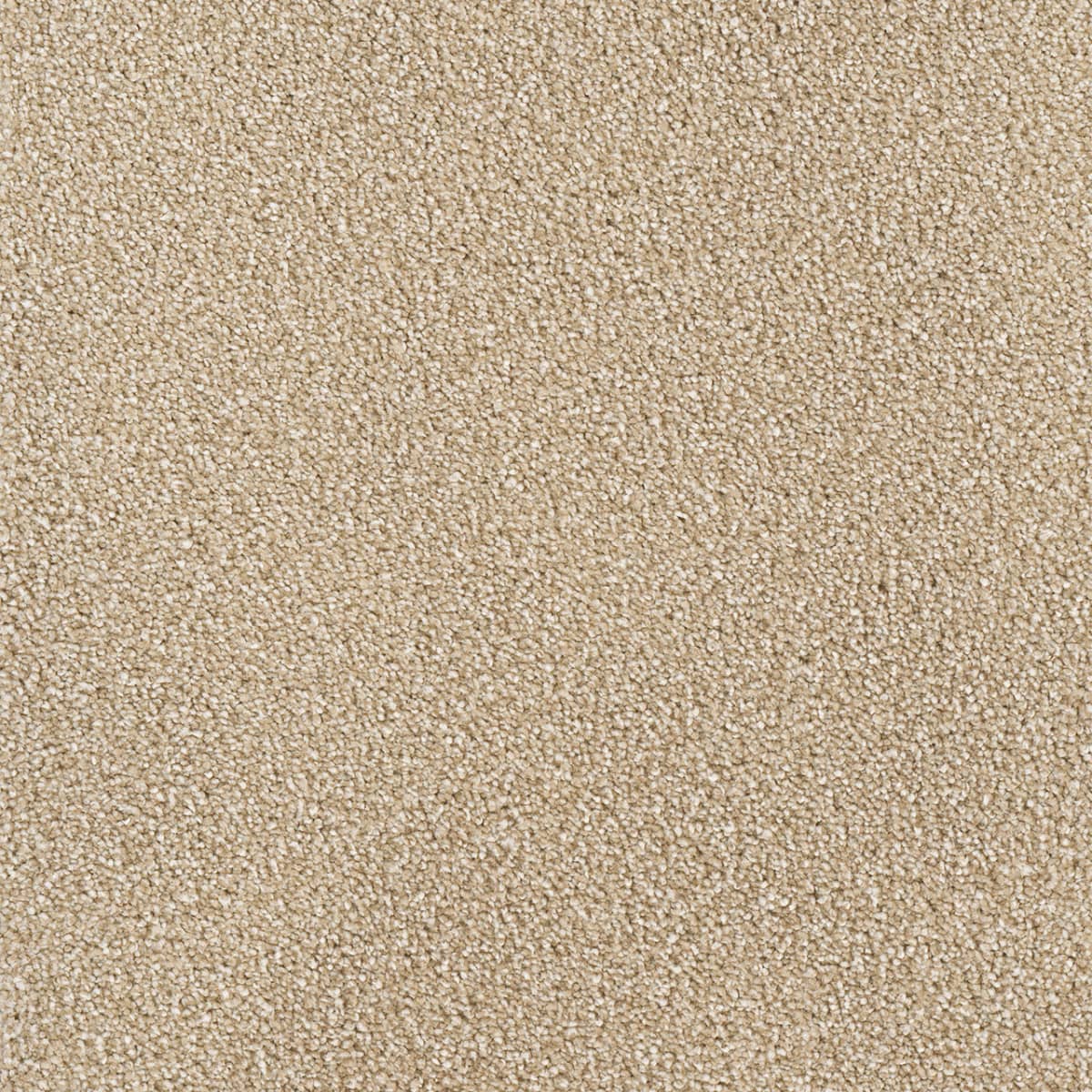 Star Struck Sawgrass