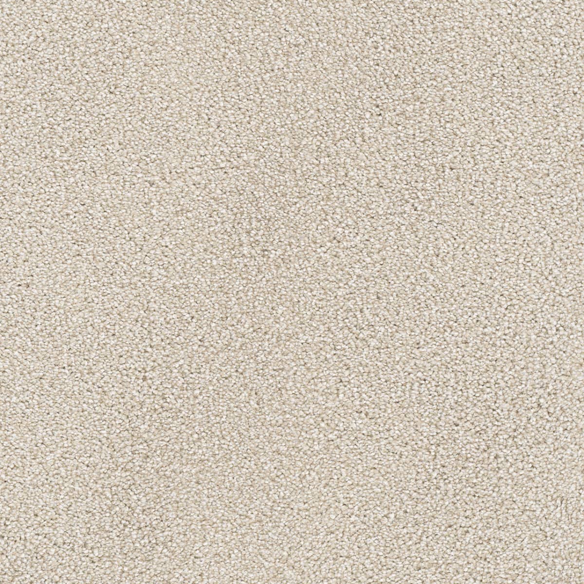 Star Struck Parchment