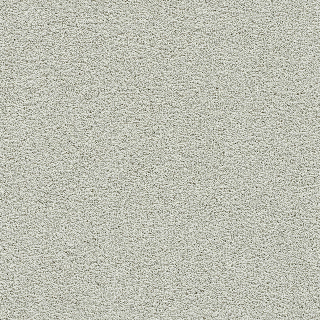 Clear Skies I Snowbird Clear Skies I Carpet flooring