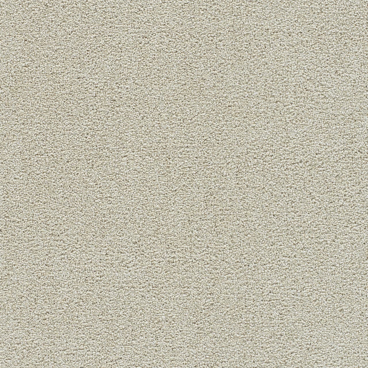 Clear Skies I Pale Oak Clear Skies I Carpet flooring
