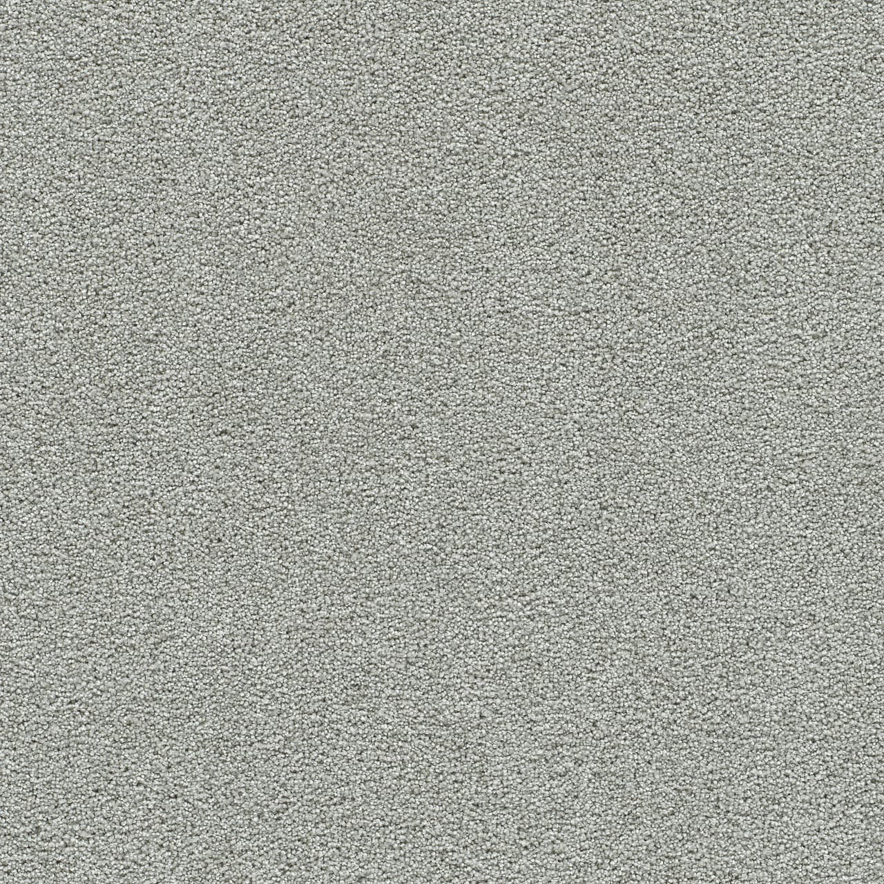 Clear Skies I Pinetop Clear Skies I Carpet flooring