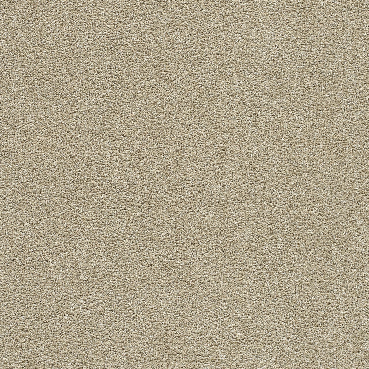 Clear Skies I Cream Clear Skies I Carpet flooring