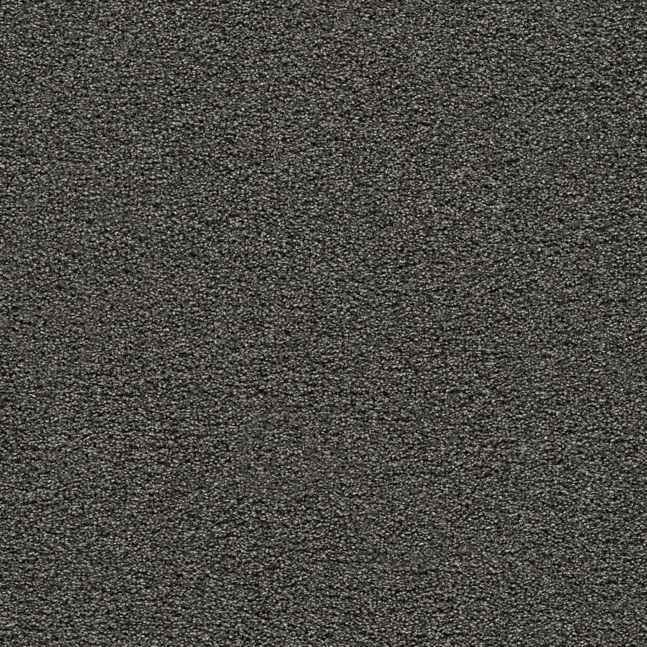 Gold Standard II Onyx