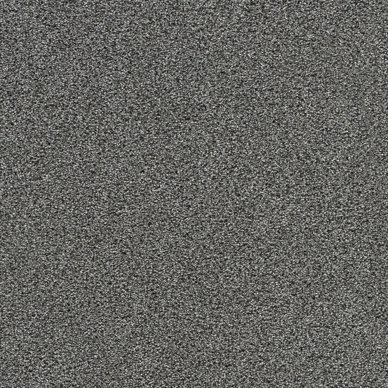 Gold Standard II Mica