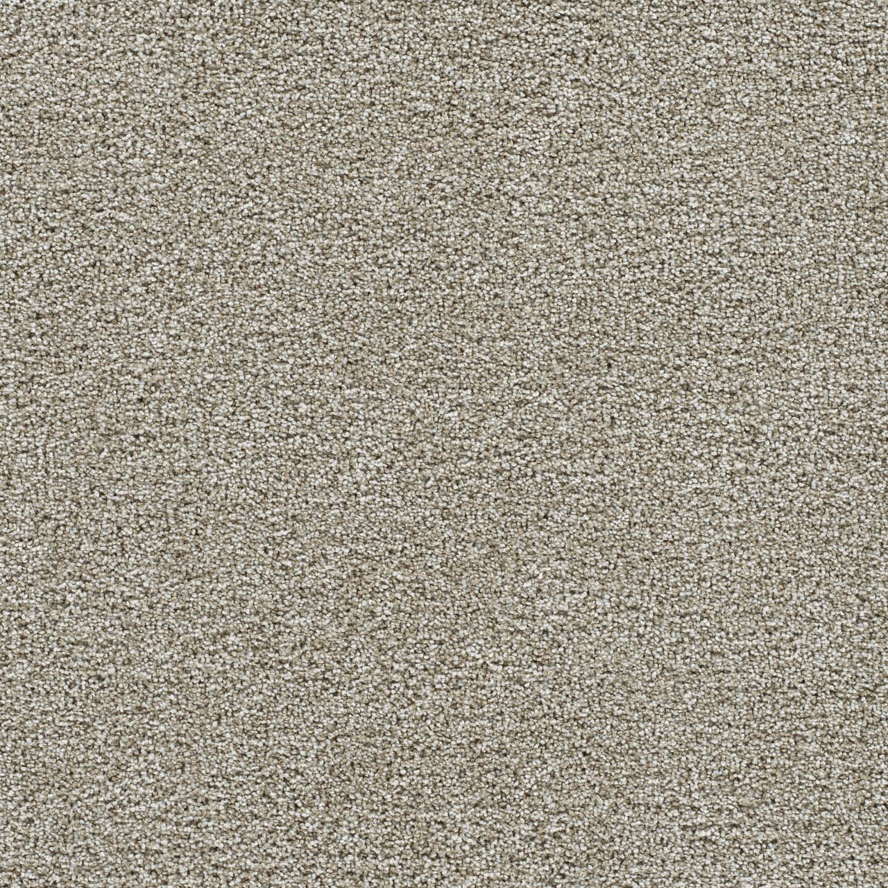 Gold Standard II Alloy