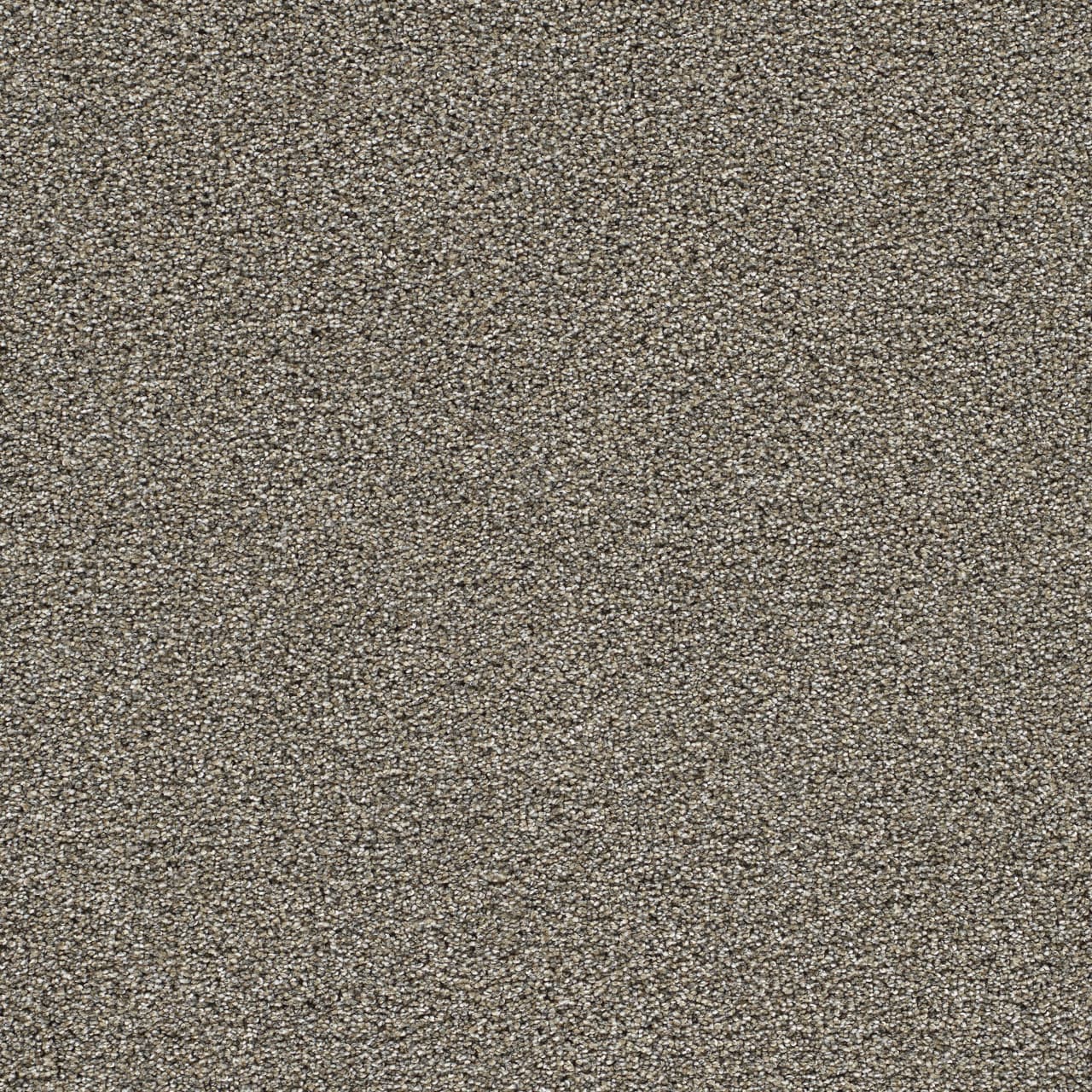 Gold Standard II Pewter