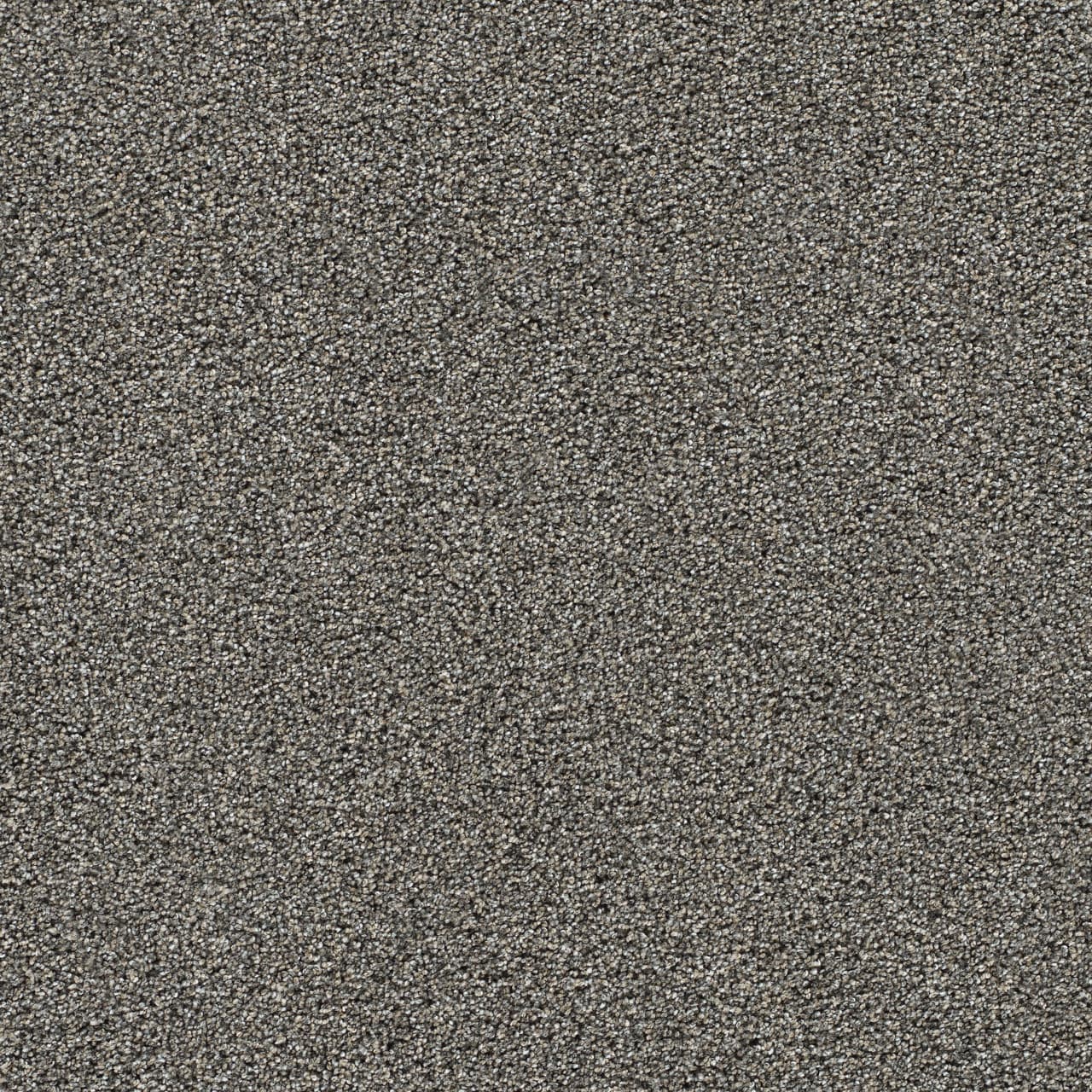 Gold Standard II Graphite